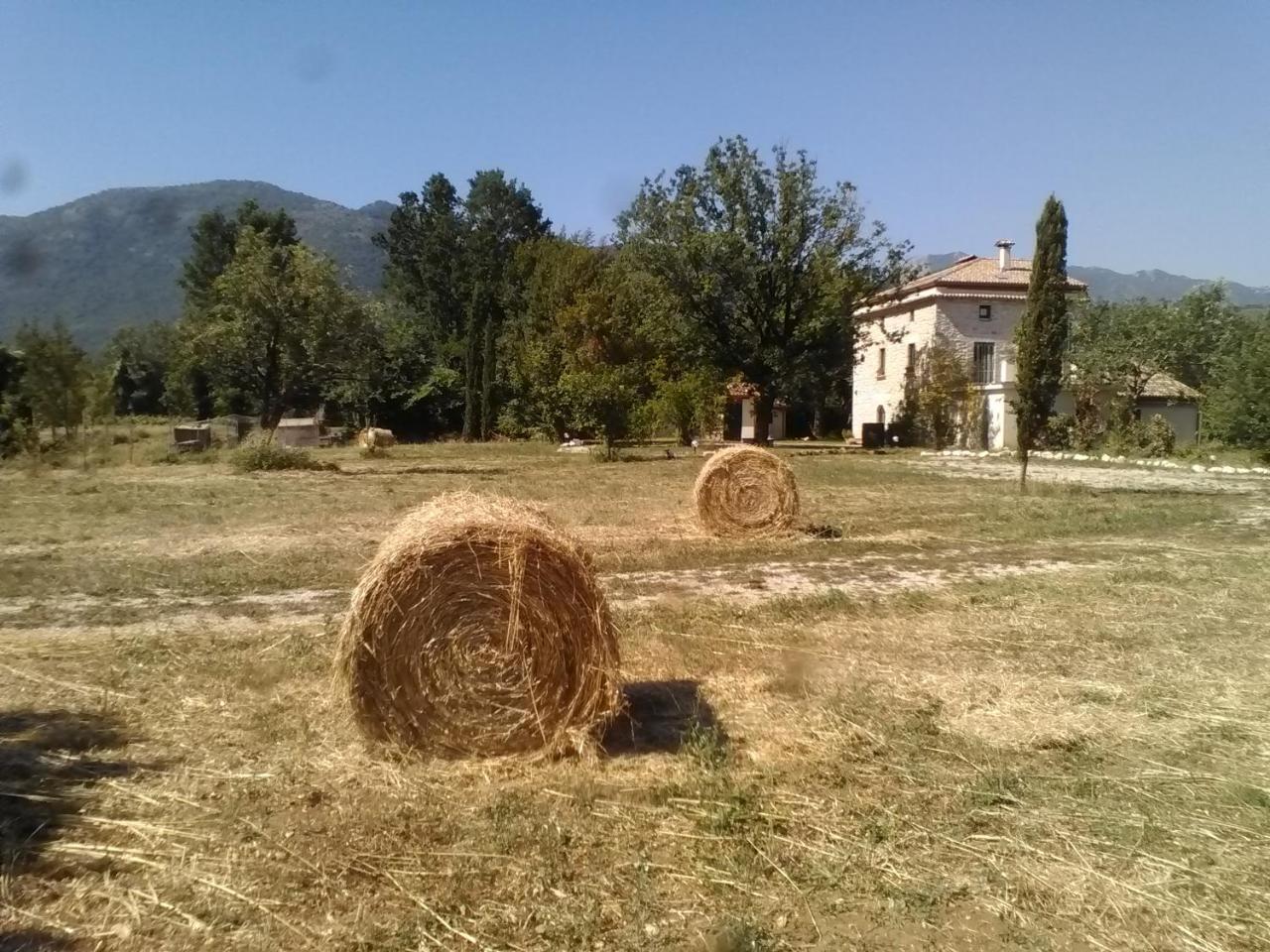 فيلا Casina Di Pietra San Giorgio a Liri المظهر الخارجي الصورة